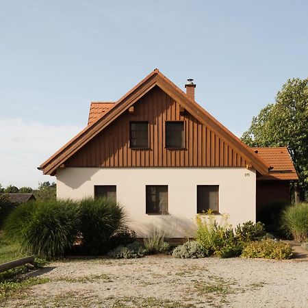 Apartmany Na Seniku Trebon Exterior photo